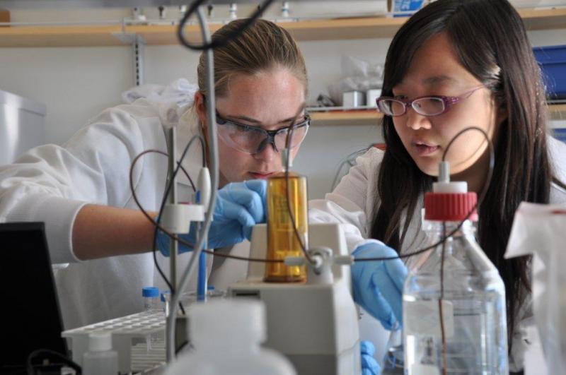 Katherine Moore, left, and Josephine Liang work together Nov. 9 at Bigelow Laboratories in East Boothbay. Moore and Liang are both participating in the semester-in-residence program through Colby College at Bigelow. BEN BULKELEY/Boothbay Register
